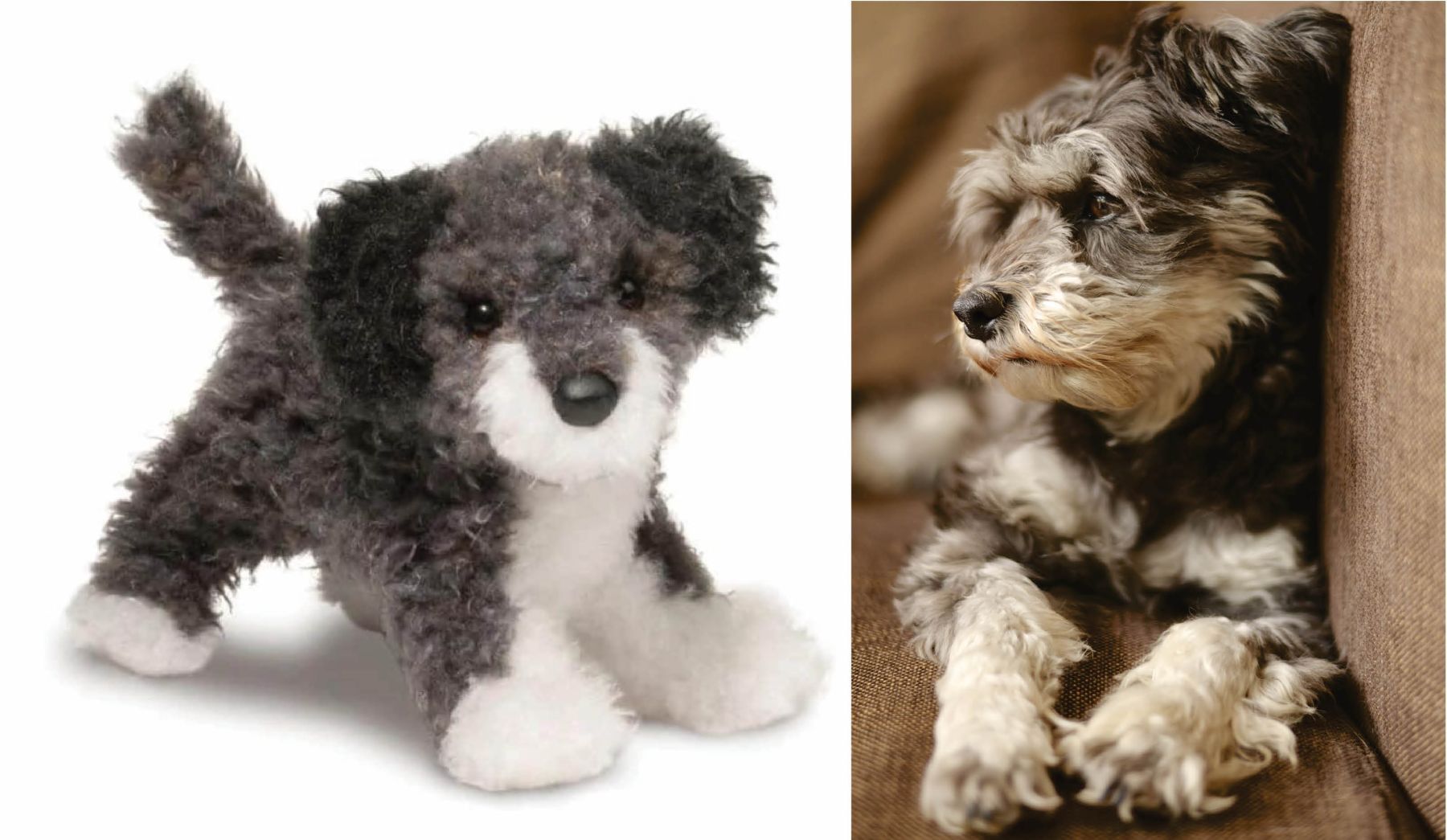 Question of the Week